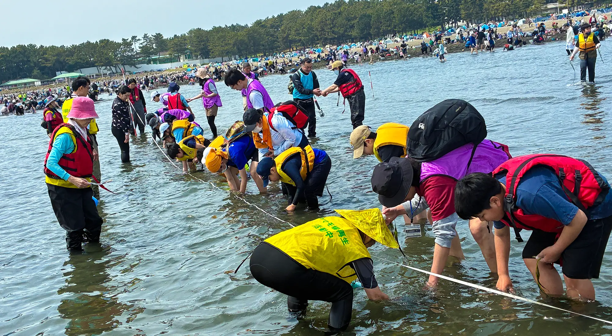 「アマモ移植会2026」に参加しました